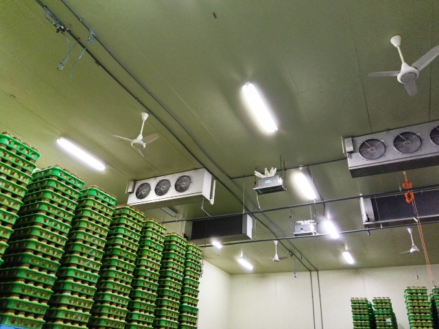 きのこ栽培設備のイメージ